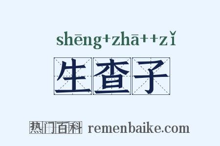 生查子是什么意思的图片